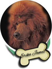 Erika James